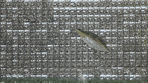 737c7da10c0d40f7b605f09d73d2e4cd.gif